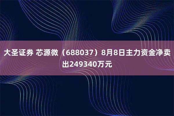 大圣证券 芯源微（688037）8月8日主力资金净卖出249340万元